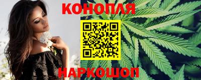 альфа пвп Краснознаменск