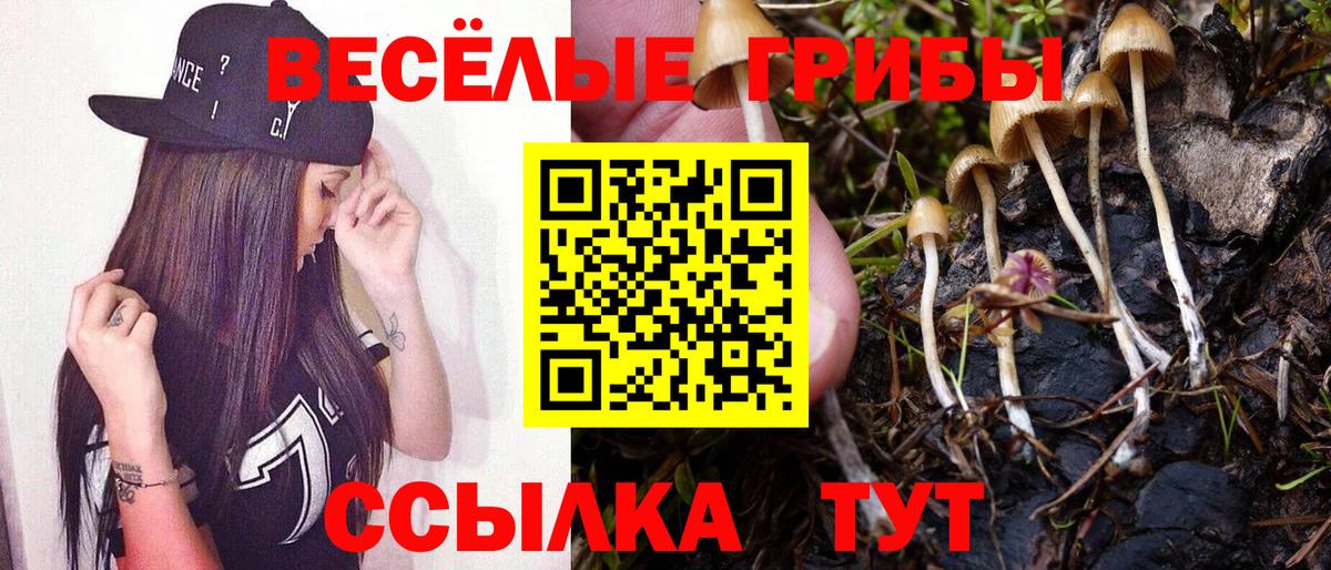 Канаш  Галлюциногенные грибы Magic Shrooms  Вход с VPN 