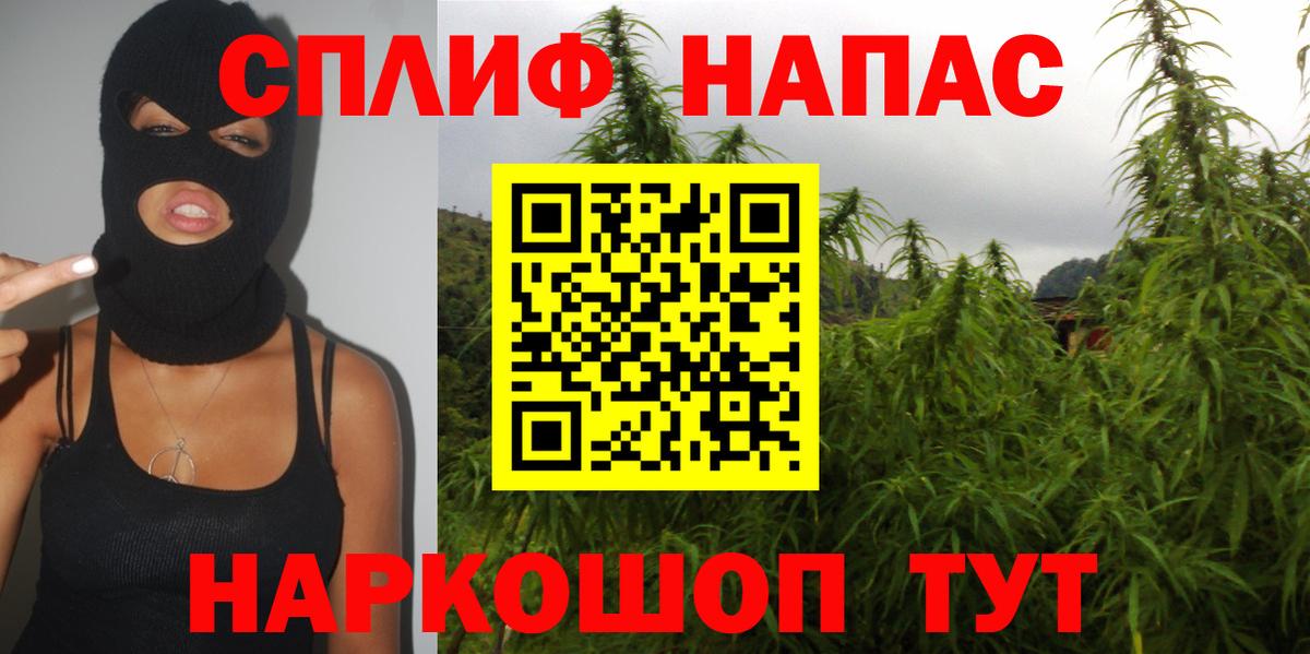Бошки марихуана сатива Канаш